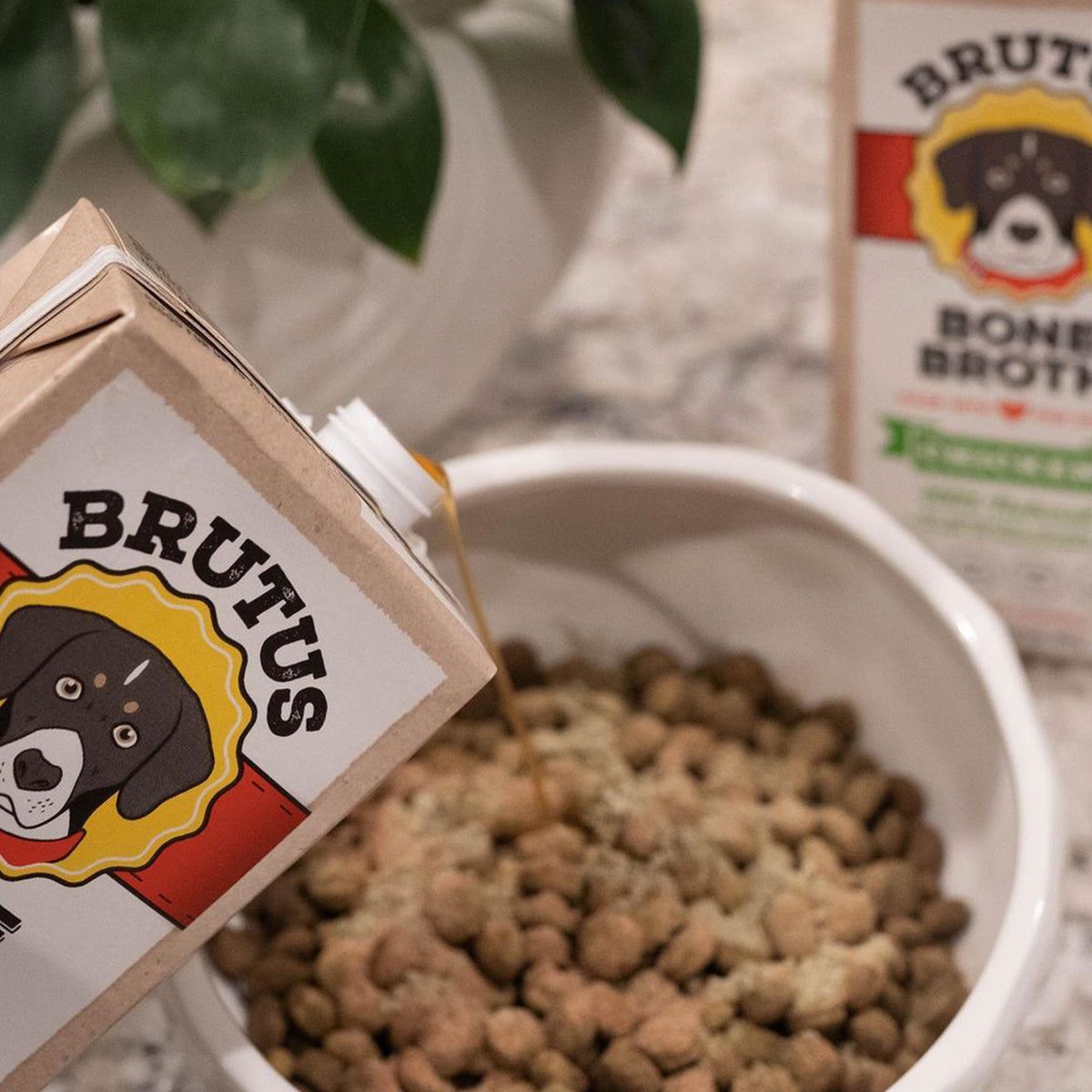 Bone Broth