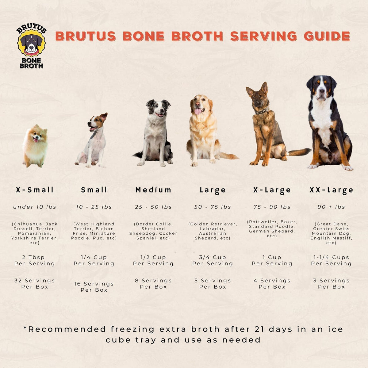 Bone Broth