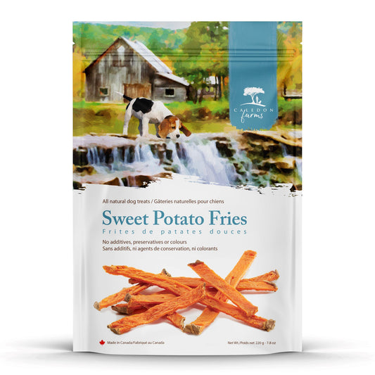 Patatas dulces fritas