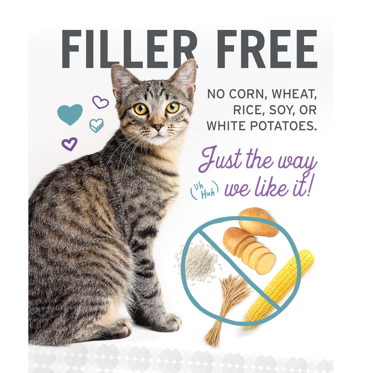 Pack varié de nourriture en conserve pour chats