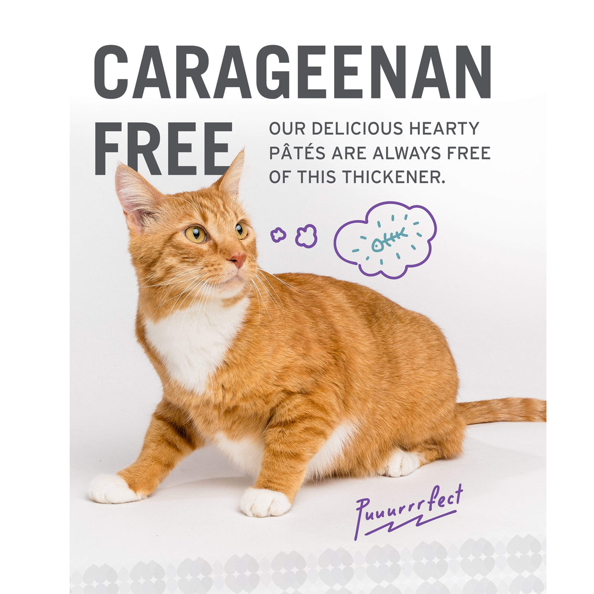 Pack varié de nourriture en conserve pour chats