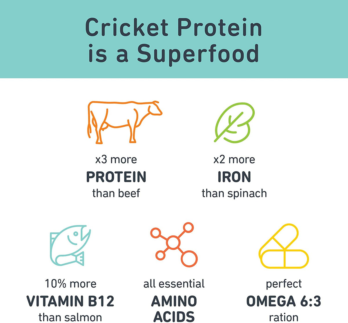 Cricket Crave Dog Food