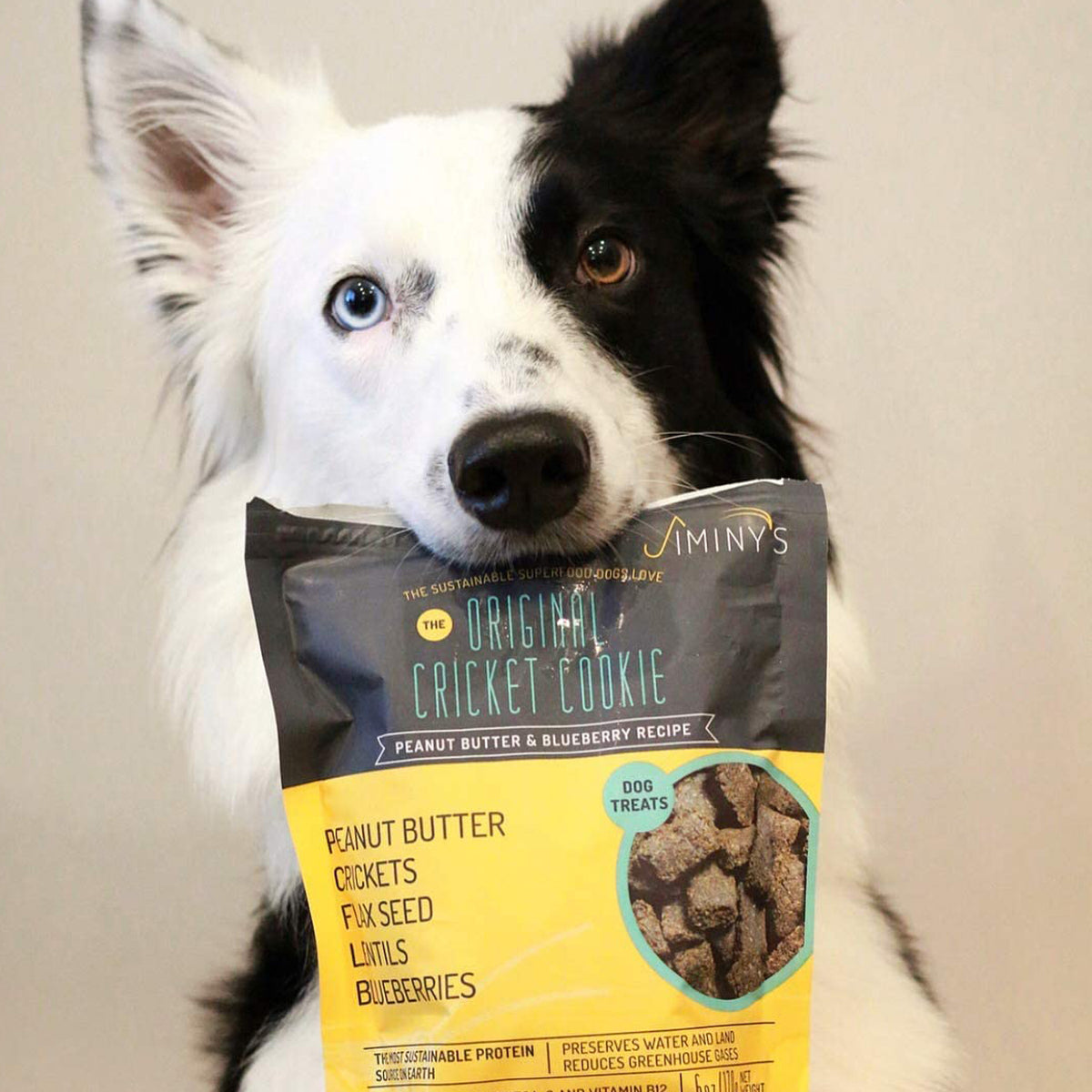 Jiminys Dog Treats