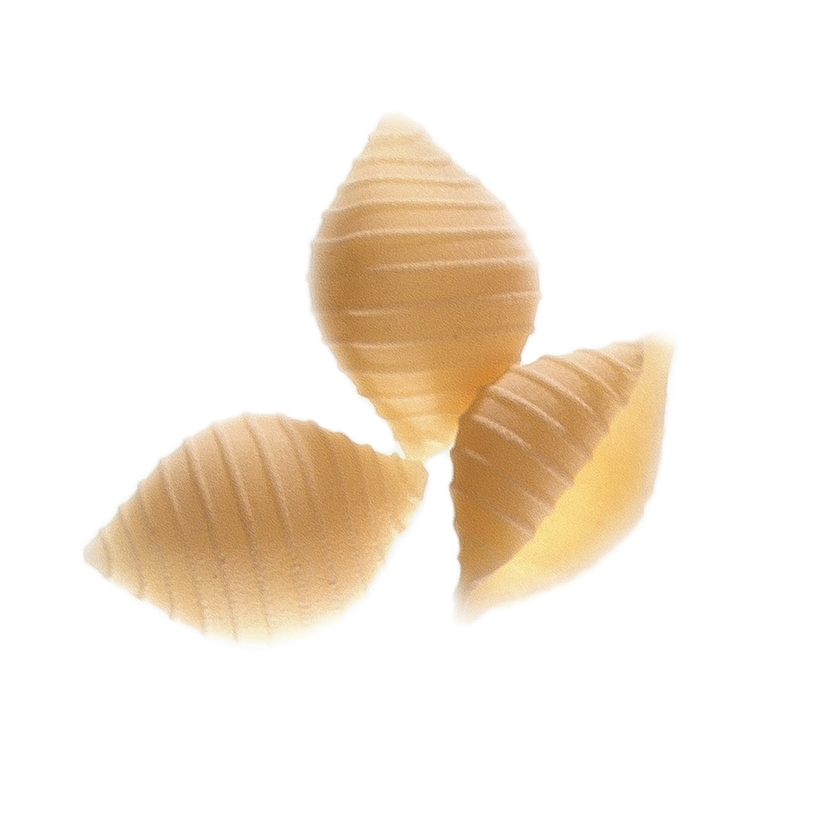 Pâtes biologiques