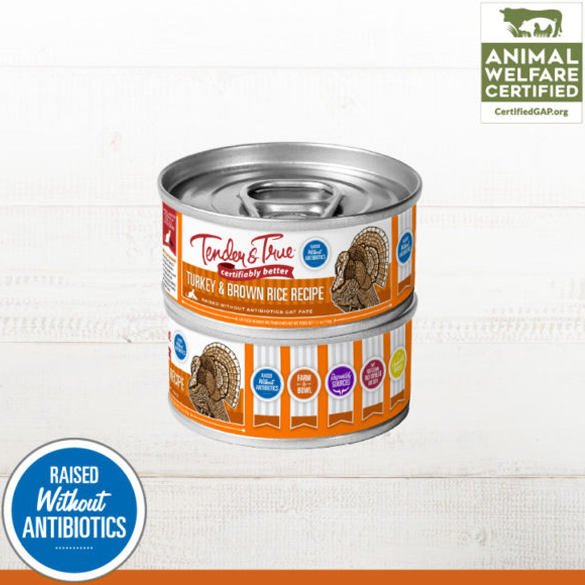 Recettes de nourriture en conserve pour chats