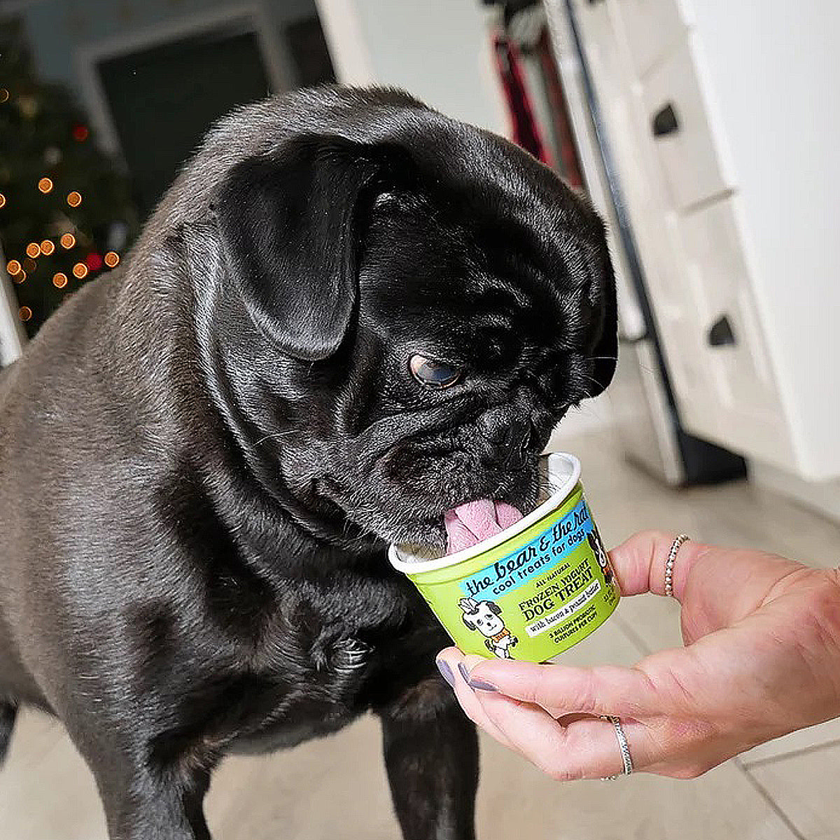 Golosinas para perros con yogur helado
